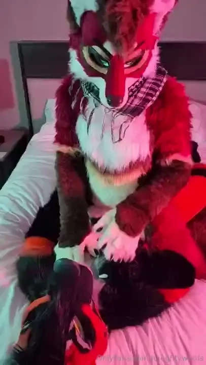 Came across a very handsome fox and dragged him up to my room he sure 