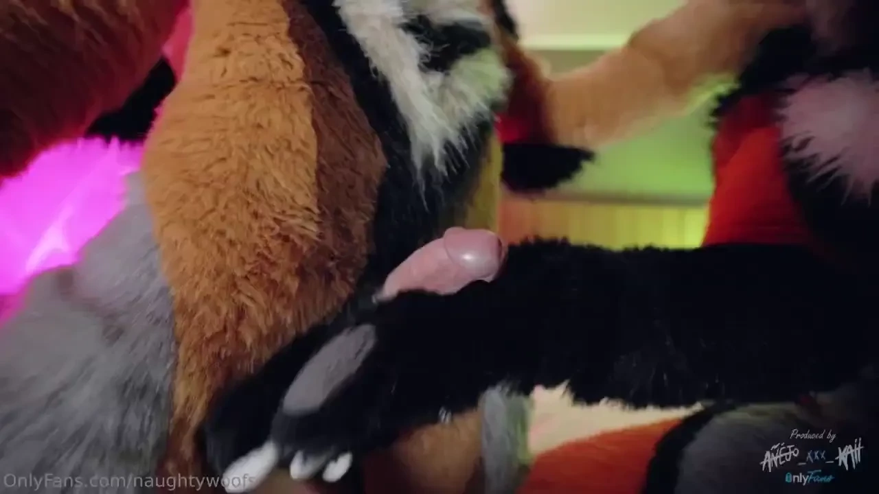 We hear you guys will never get tired of our murrsuit content woof 