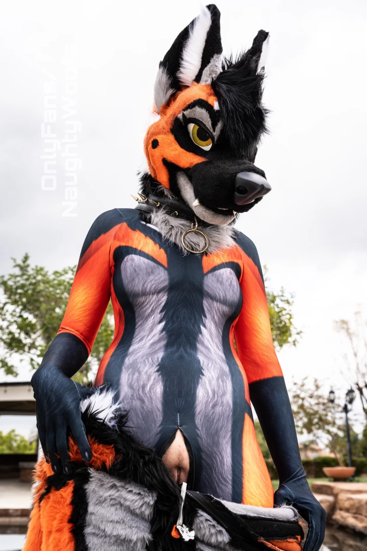 Don t mind if i unzip here for you part 1 