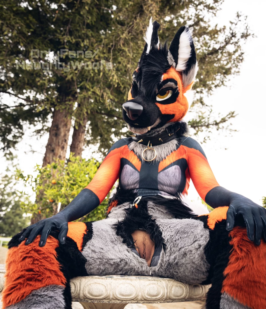 Don t mind if i unzip here for you 