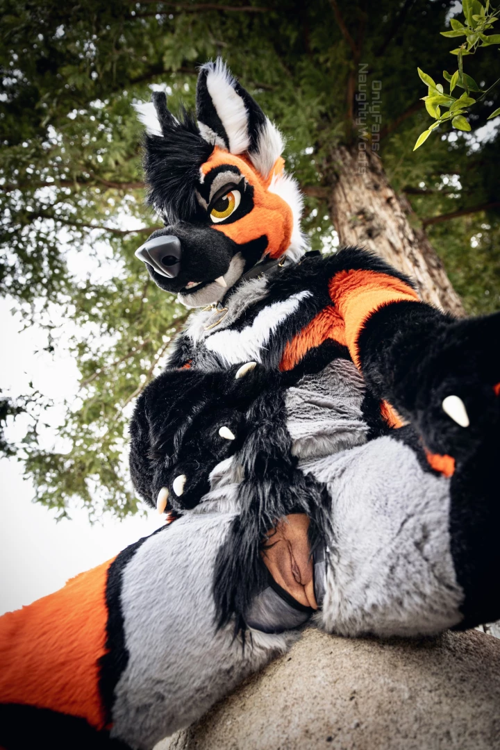 Don t mind if i unzip here for you part 2 