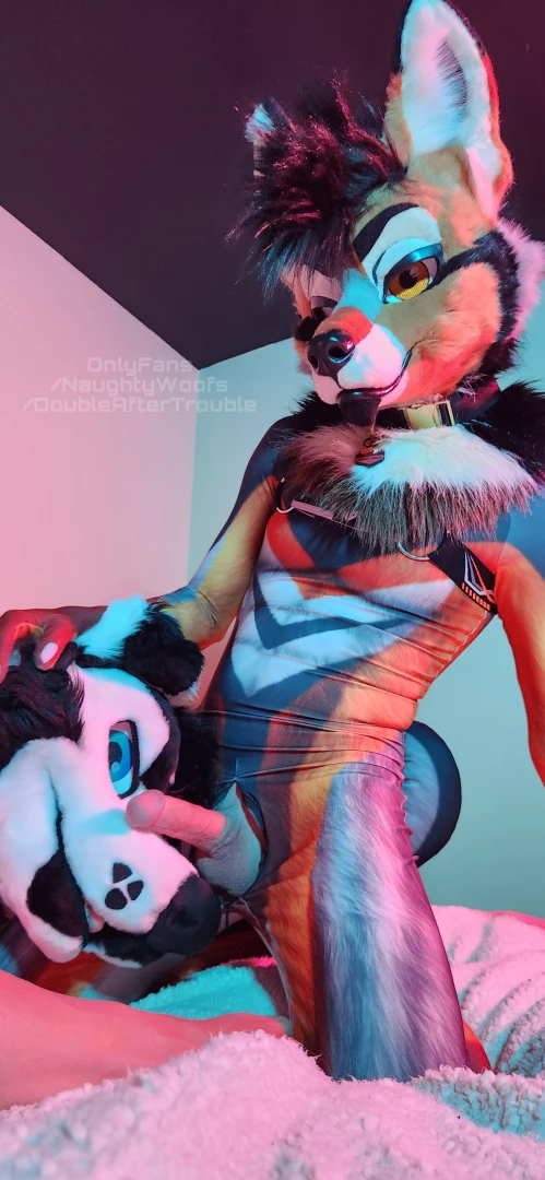 Naughtywoofs 