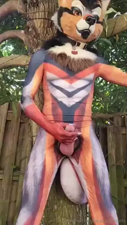 Wild coyotes always prefer to play outside would you join him 