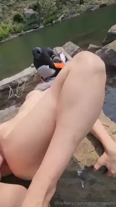 It s mating season ya know 