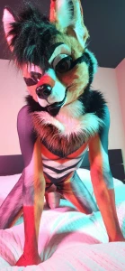 Be careful rogue might bite part 1