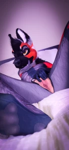 This foxy needs some help here