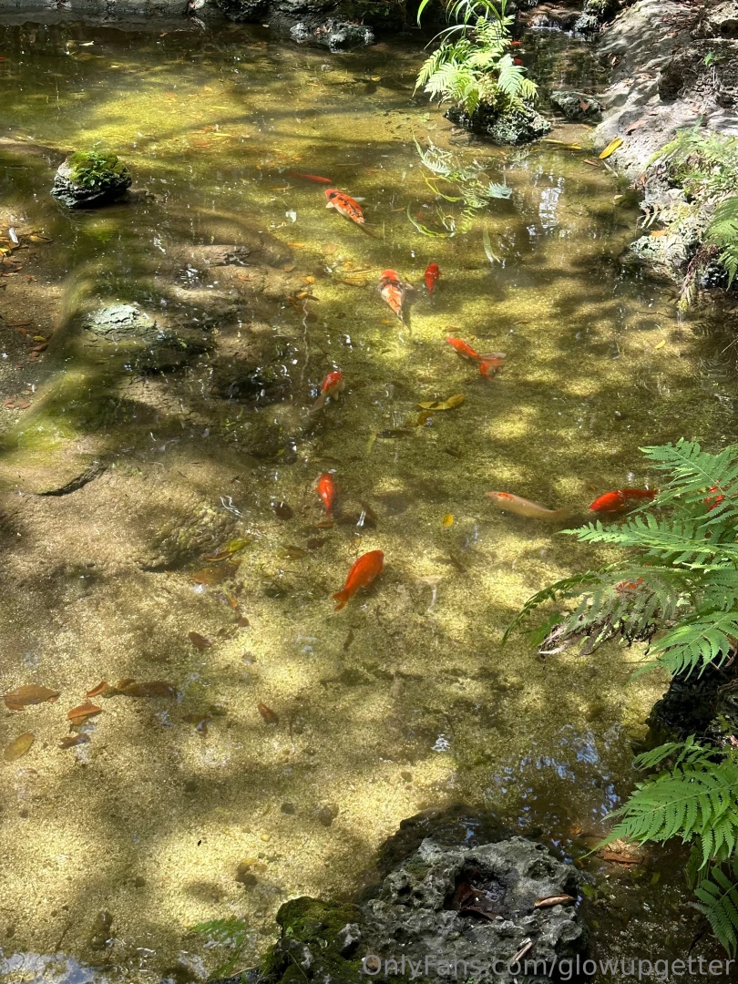 I got to sit in nature and just meditate these past few days and when part 1 