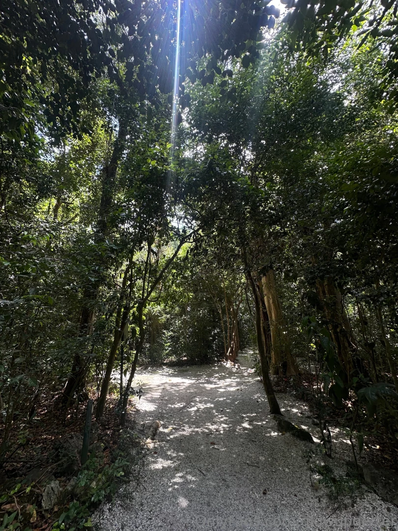 I got to sit in nature and just meditate these past few days and when 