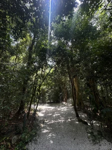 I got to sit in nature and just meditate these past few days and when