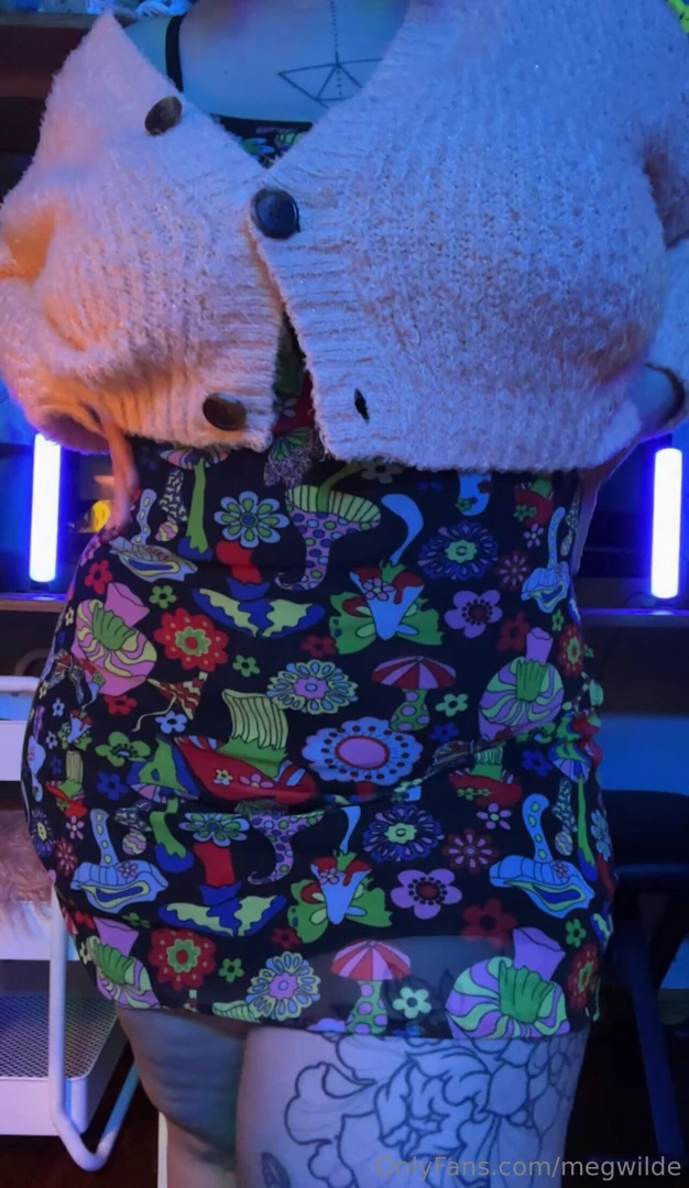 The mushroom kingdom 