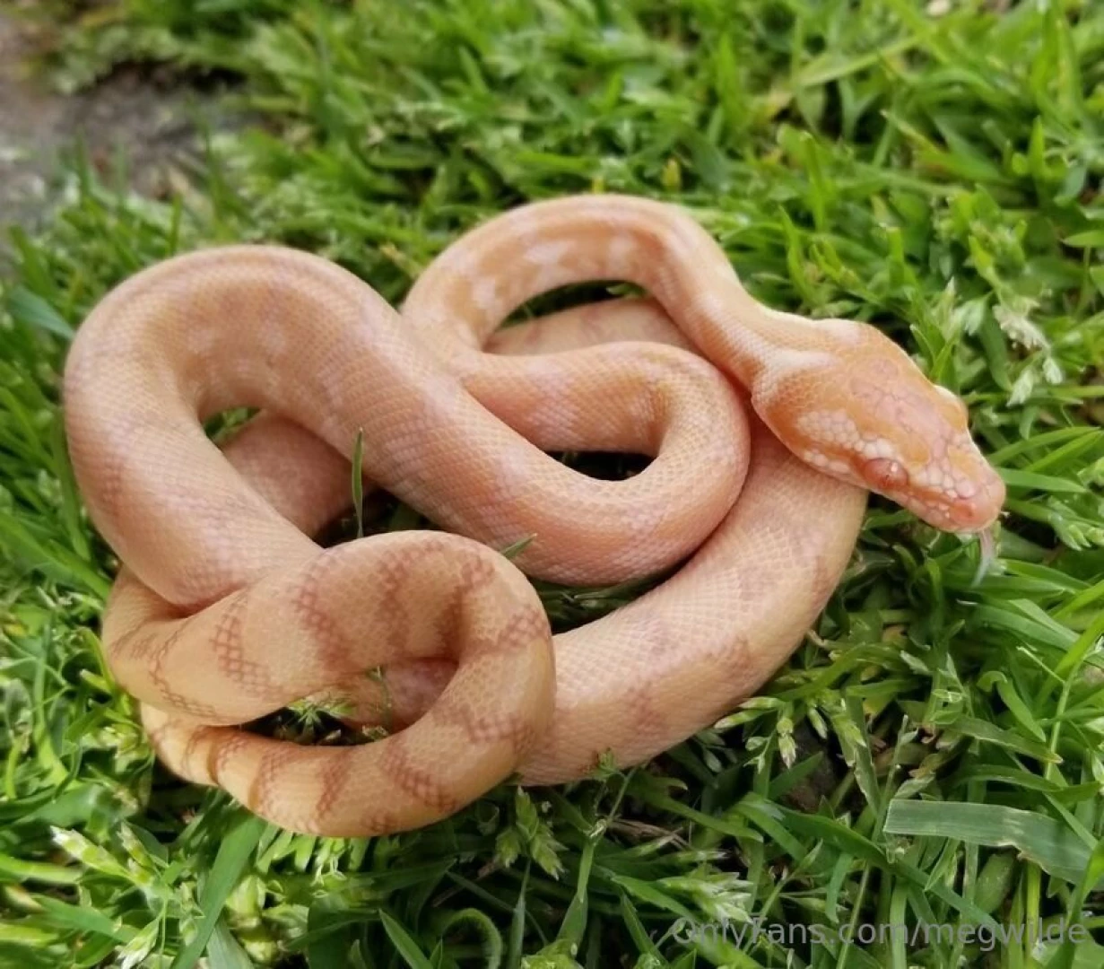 Look at this beauty part 3 