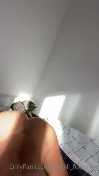 Do you wanna be on place where is cat 