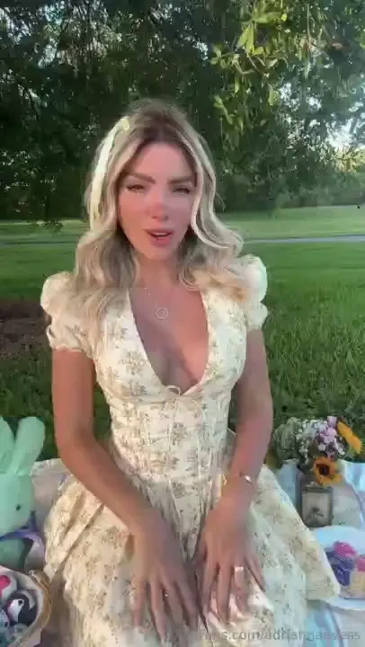 Let s have a fun picnic 