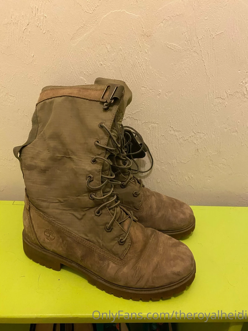 These puppies have been through hell and back and they re ready for 