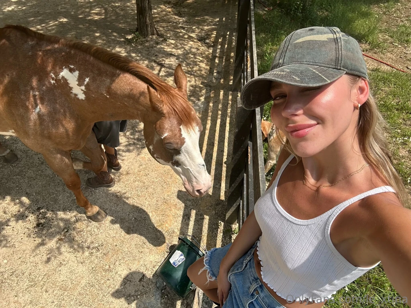 Save a horsee ride a nbsp 