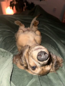 Buns is mad because you re not responding to my dms