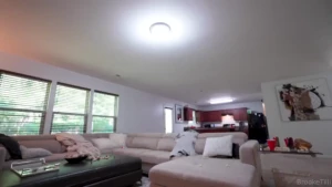 New pornhub video sexy house maid breaks my vase amp pays me back with