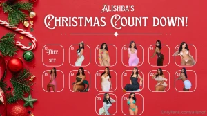 All my christmas countdown fans got a complete free set yesterday and