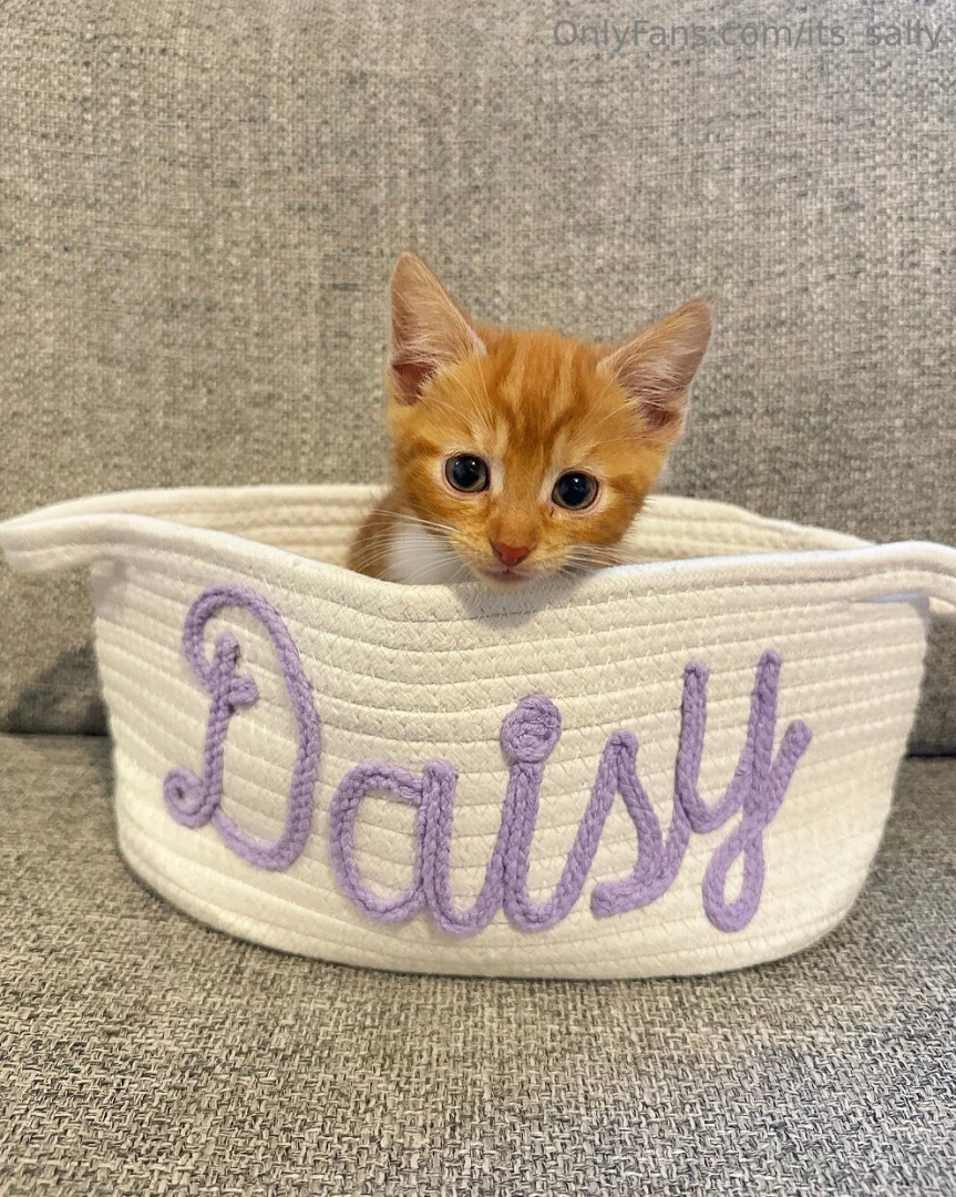 Newest addition to the family part 1 