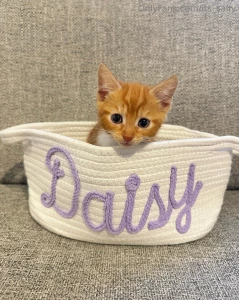 Newest addition to the family part 1