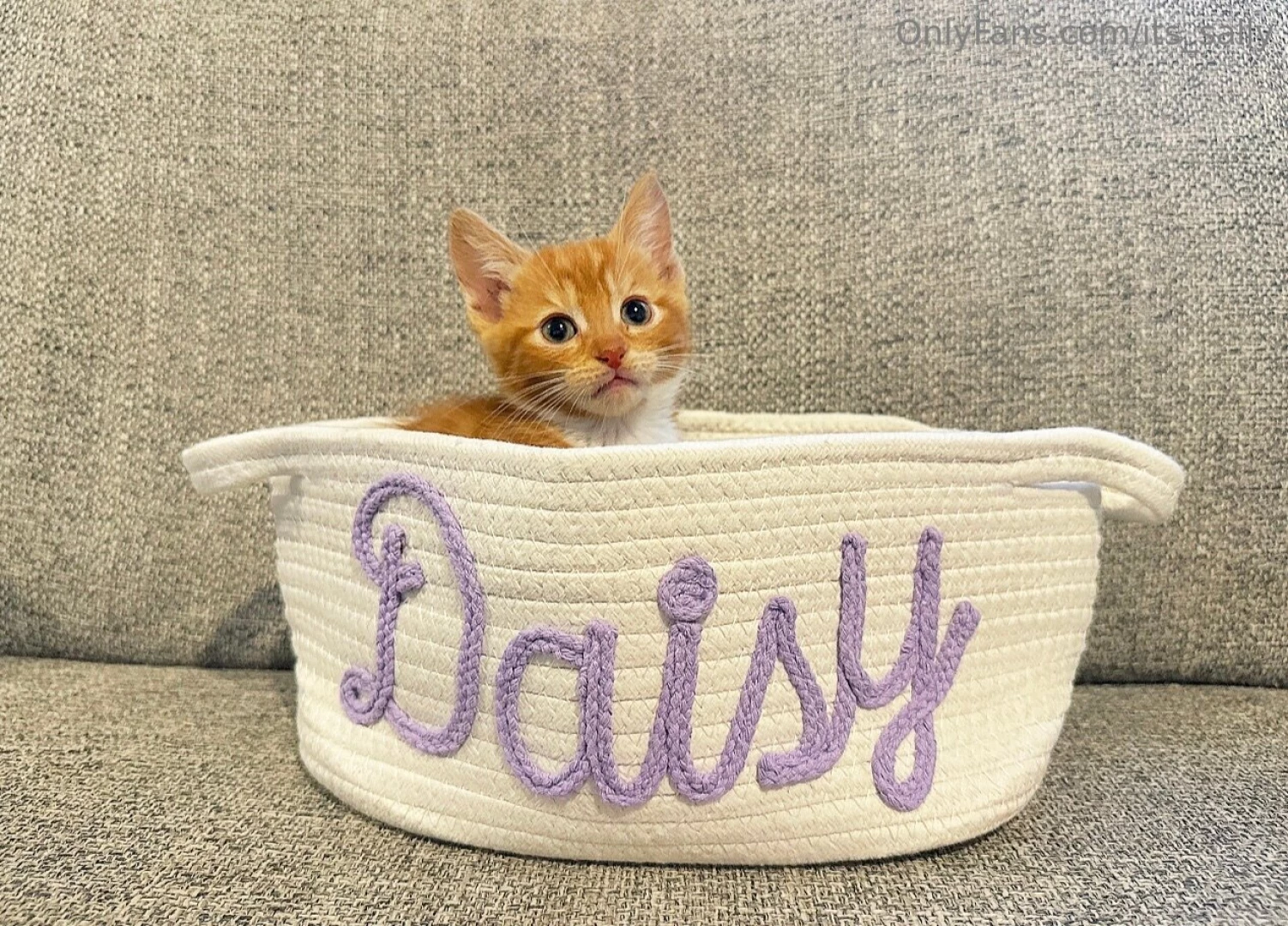 Newest addition to the family 