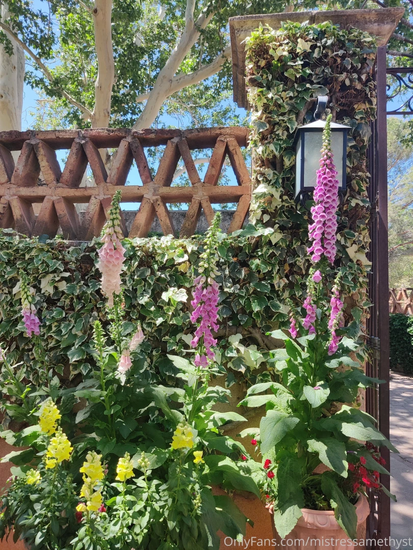 On vacay loving the scenery part 4 