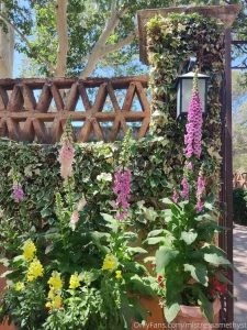 On vacay loving the scenery part 4