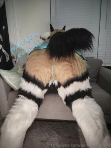 Gemsbokafterd part 8