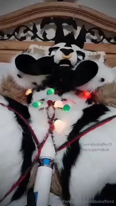 Finishing the holiday season with a bang or a buzzzzz 8 minutes of 