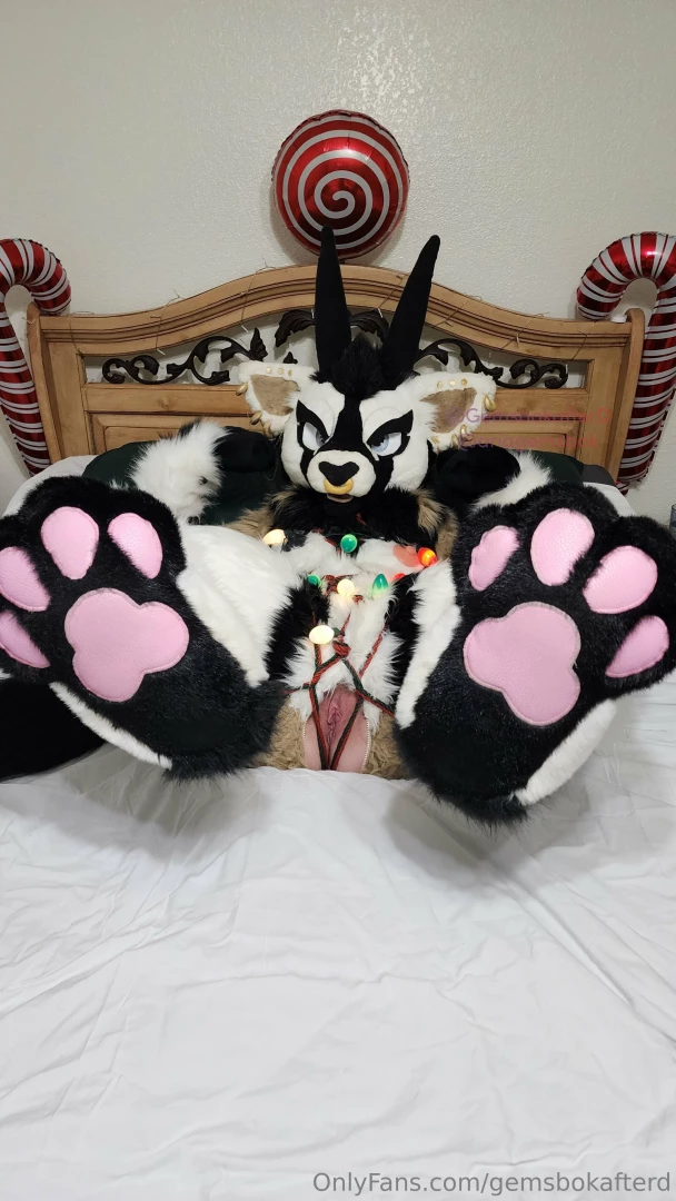 For all you paw lovers 