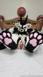 For all you paw lovers