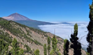 It was nice to see forest and nature again after so many years but part 1