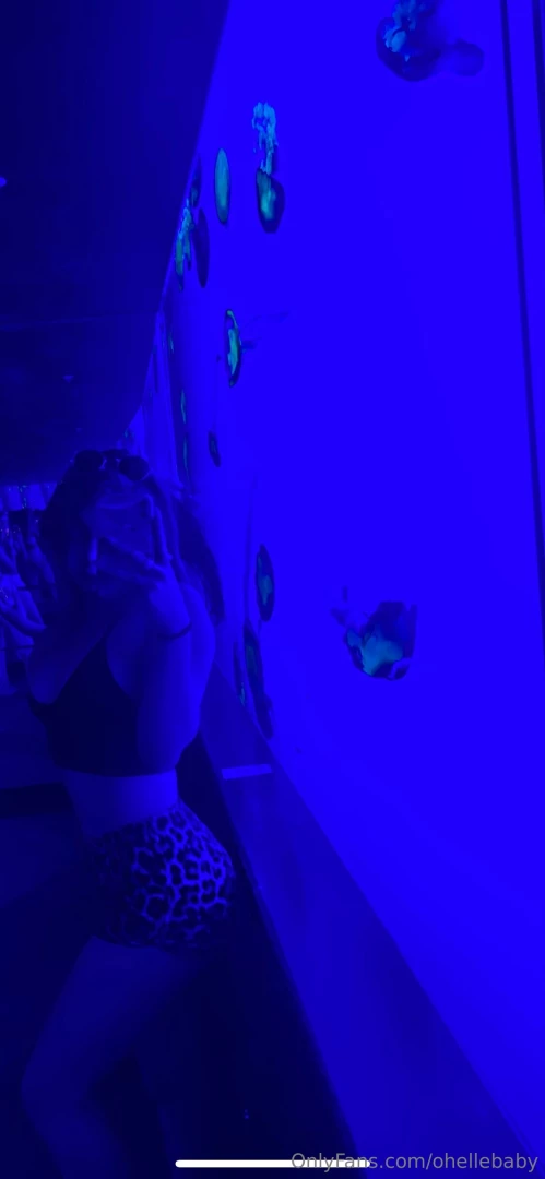 Those are real jellyfish behind me and if you can get me half as wet 