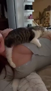 I love playing with my kitty but playing my powerball is going to be