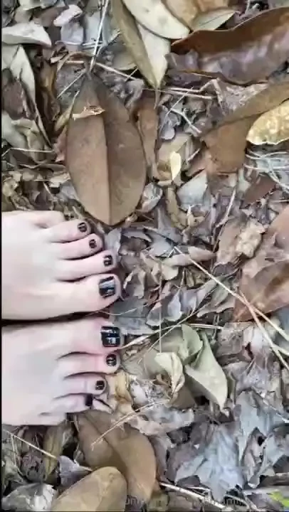 Missing my backyard in florida right about now but iowa ain t too bad 