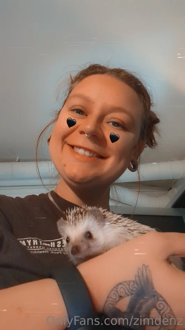 Happy hump day baby here s a super cute picture of my hedgehog sonic 