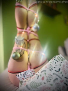 Quest anno ho deciso di fare l albero nel vero senso della parola part 2