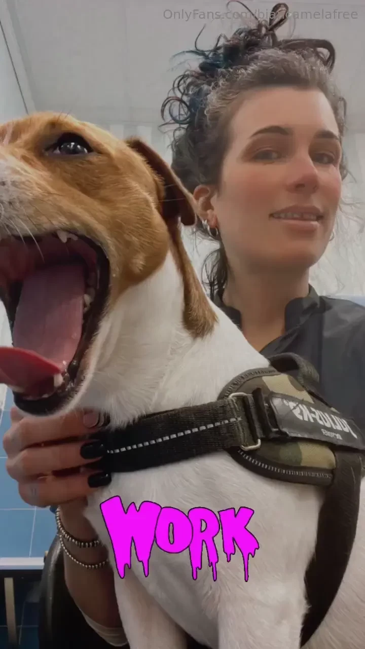 Per chi non lo sapesse il mio lavoro 