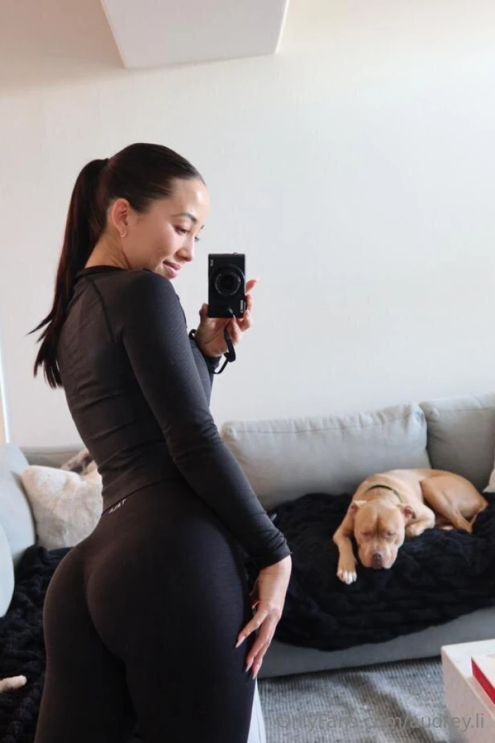 What type of person are you poll cats dogs 