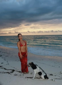 Made a new friend at sunset