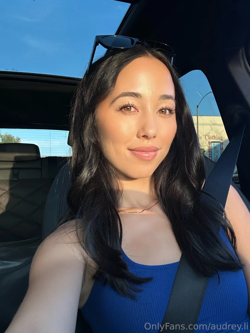 Use the seatbelt silly part 1 