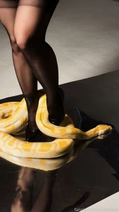 Don t be afraid we won t bite lingerie stockings mistress goddess part 1