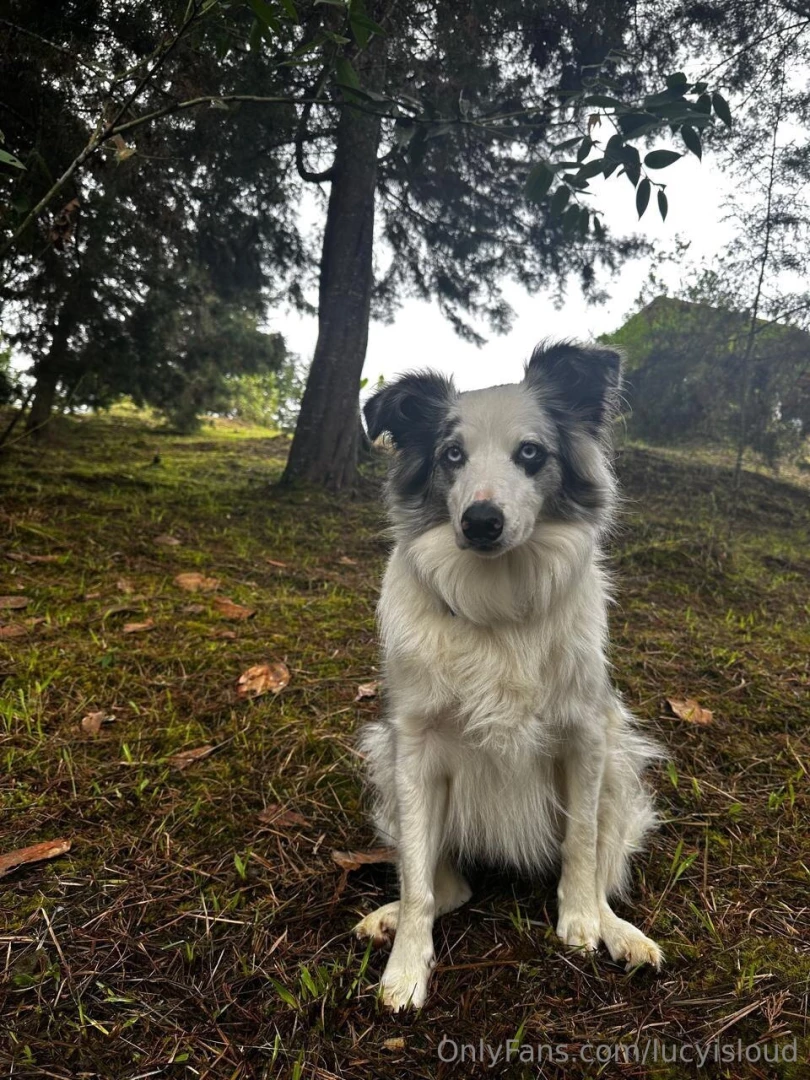 My sweet boy is better thanks for the good wishes do you already know 