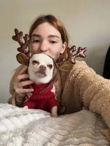 My dog just pulled up to the christmas party in a reindeer costume