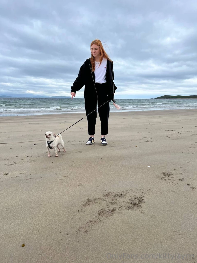 Today my dog saw the sea for the first time do you think she looks 