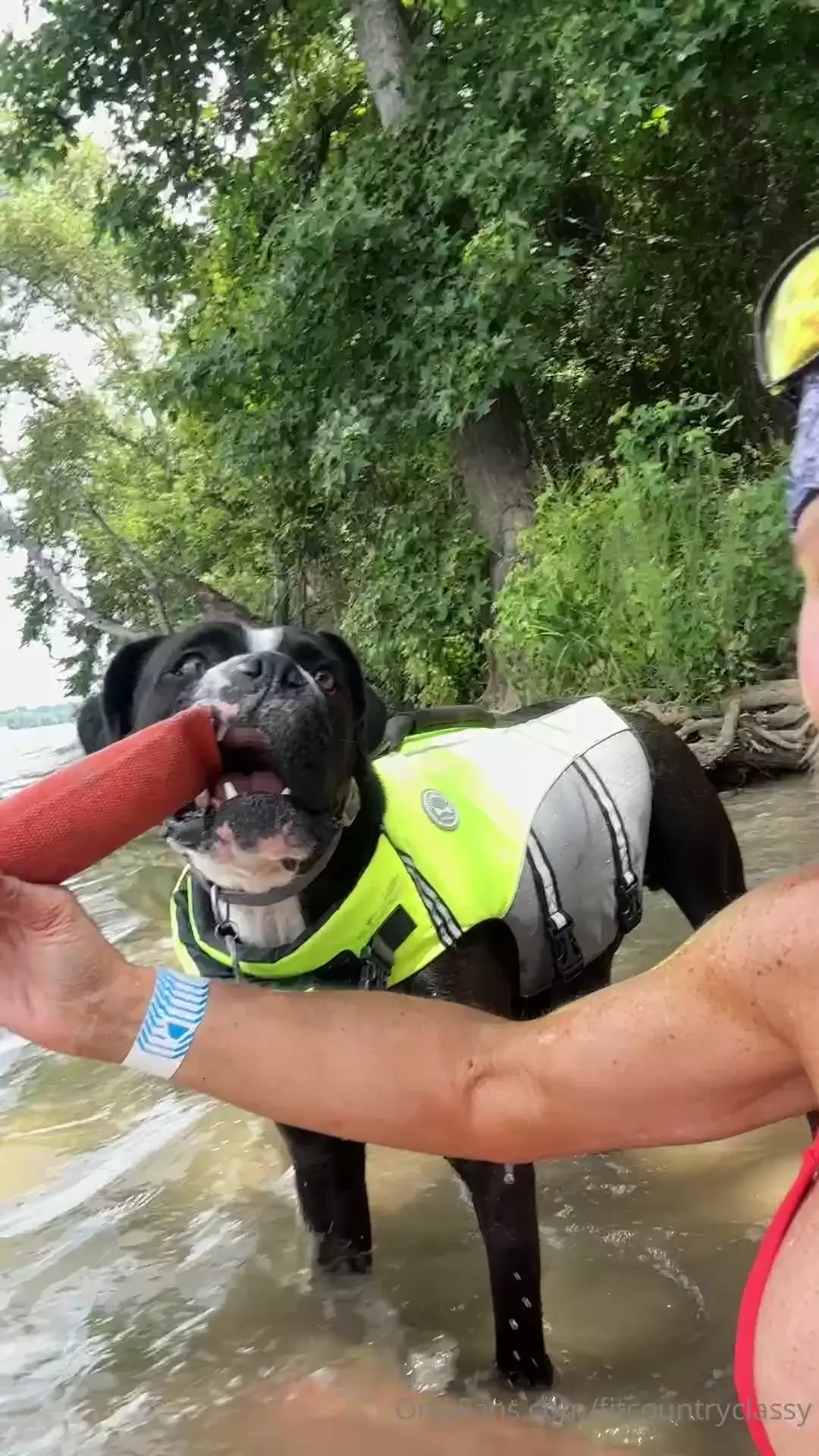 I was almost to the point of tears at work just so overwhelmed at work 