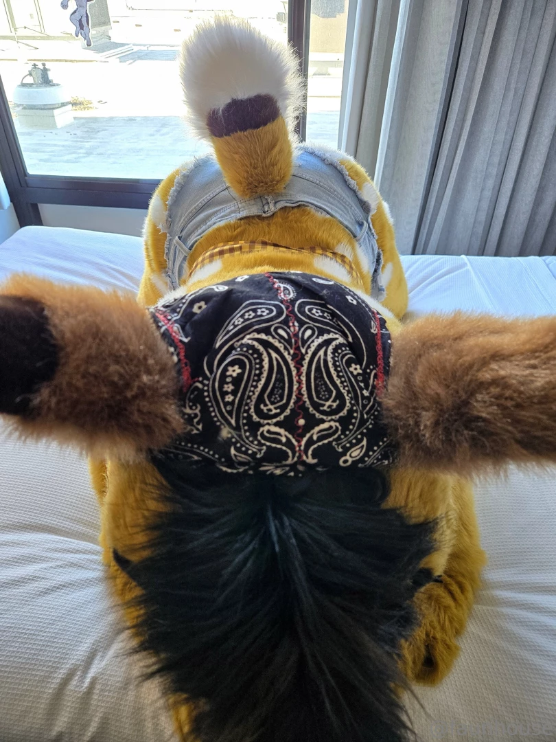 Ah it s so nice to feel the sunshine on your tail hole accidently 