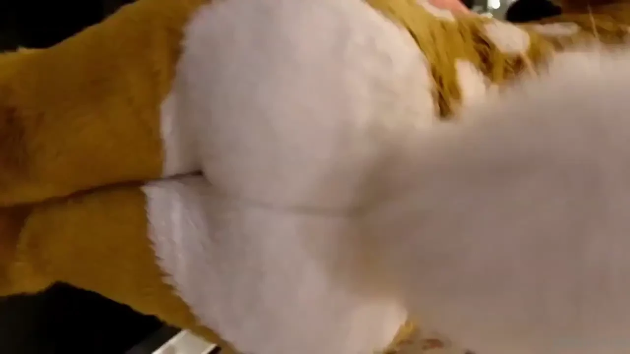Pov you are stuck behind me on the escalator 