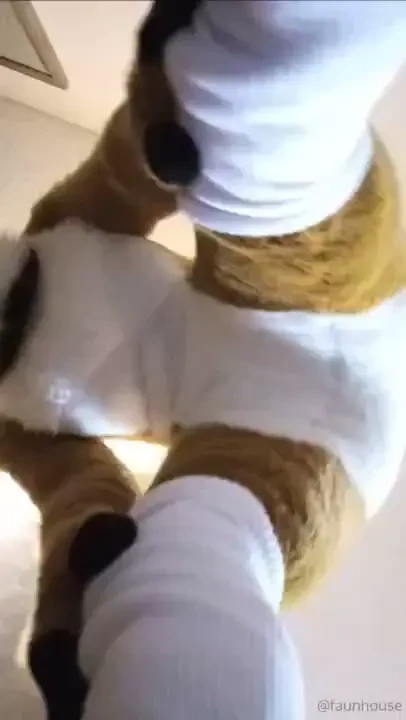 So how did you break your camera 