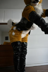 New photo and video set in progress gt 3